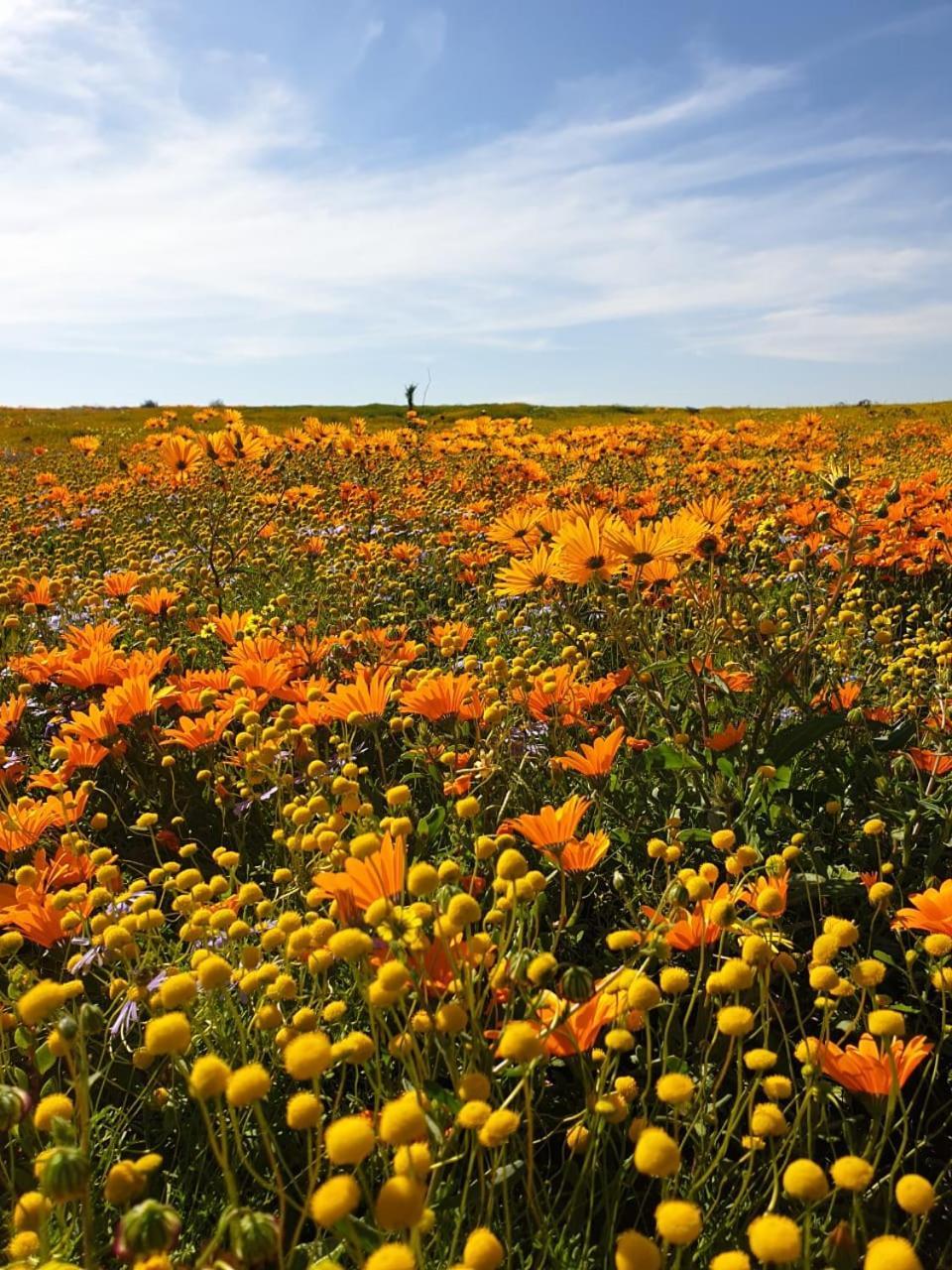 Namaqualand Eco Lodge Soebatsfontein Exterior photo